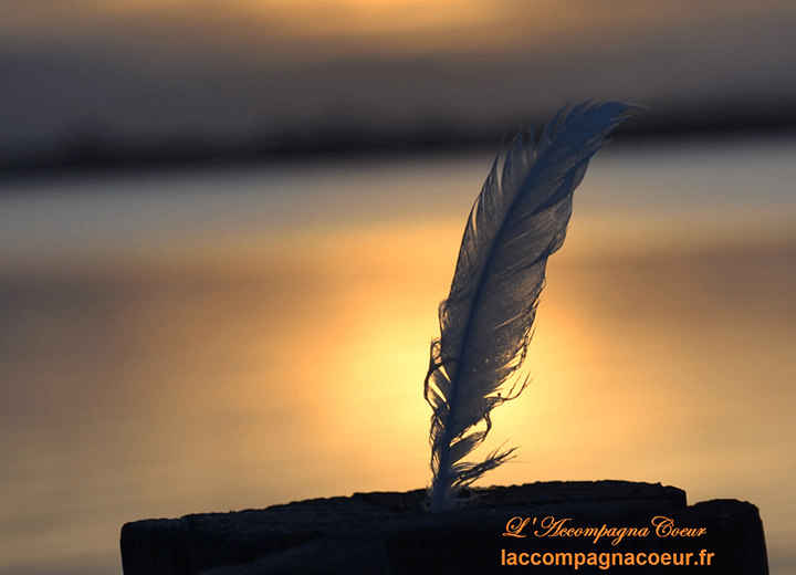 Ecriture-intuitive